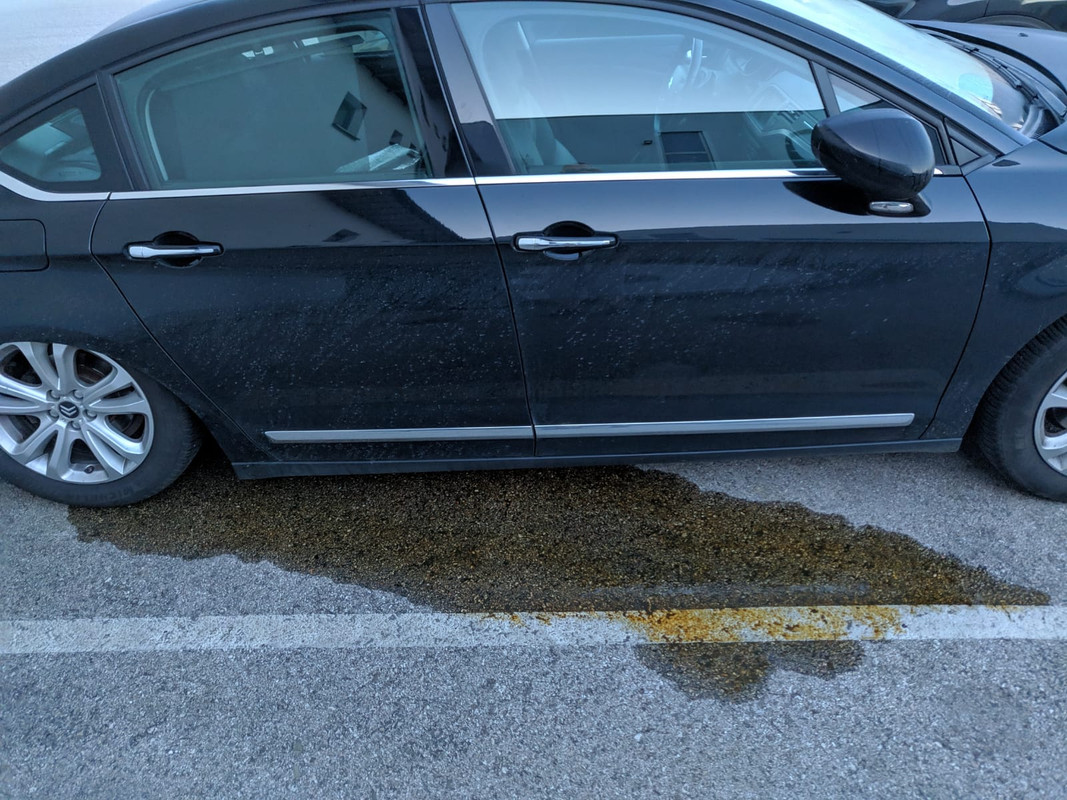 9C4EDD5D-DA25-4B0C-A02D-94DCCEE35FBF