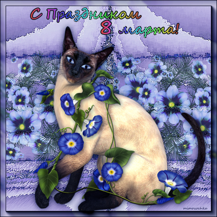С праздник 8 марта