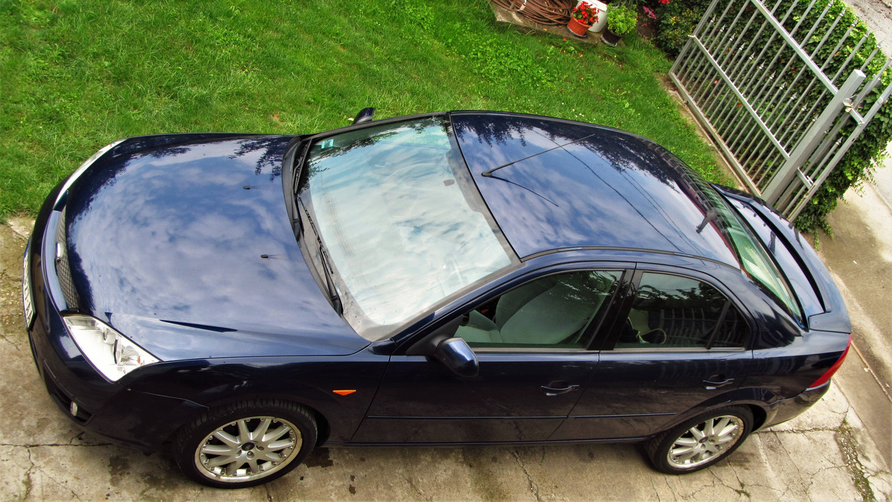 180630 IMG_1024 Плави змај купљен - Пожаревац