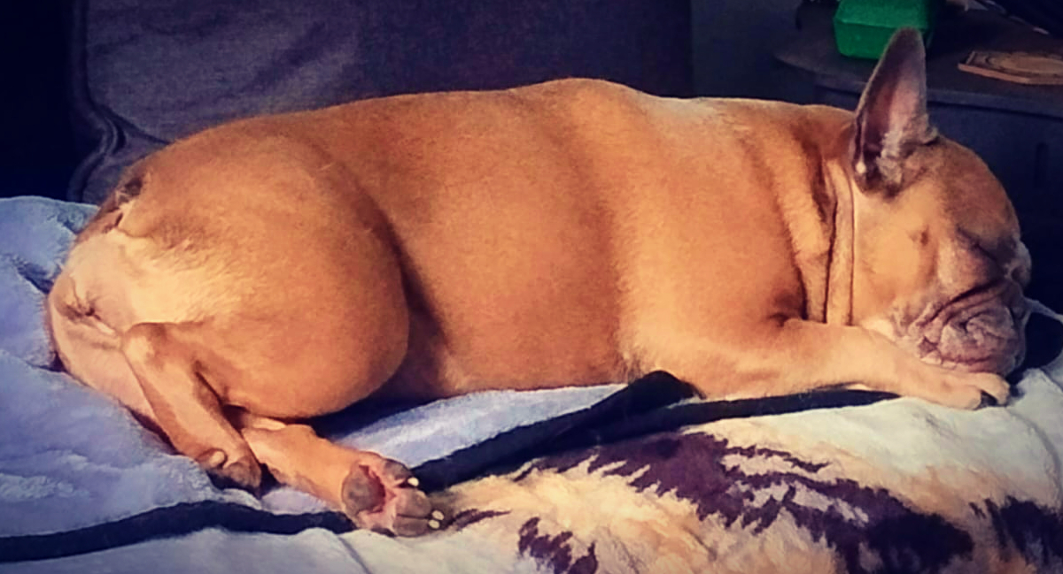 Ruby sleeping