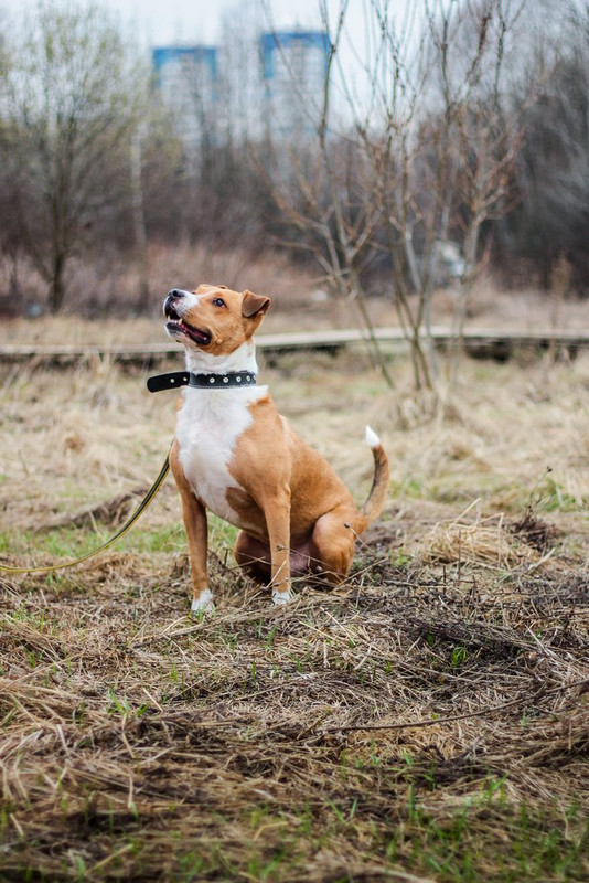 без имени-1215