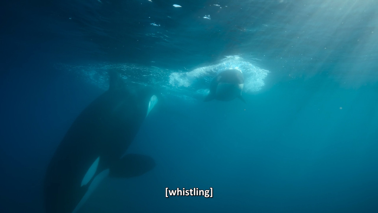 Queens  S01E06 Disney  1080p WEB DDP x264-NM21vi.mkv_snapshot_17.33.859