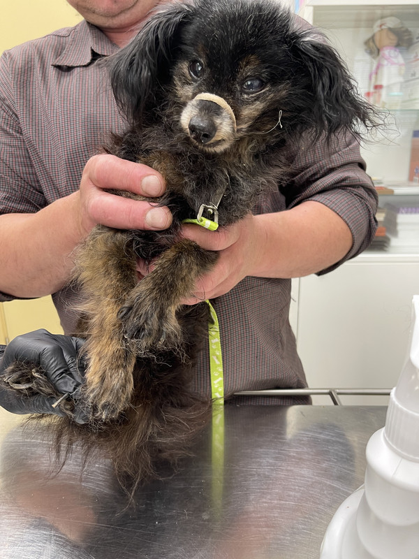 9C00D420-7266-4E53-AE46-E48AE9814677