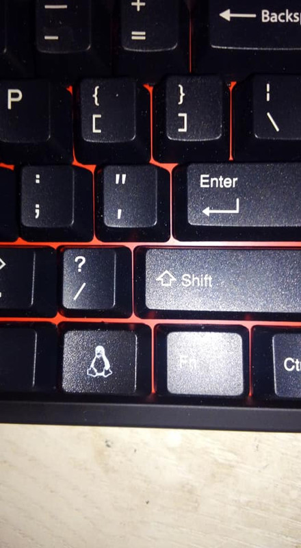 44554485_10217743473563911_634505667645800448_n