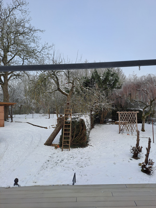 [Image: 20240120-102234.jpg]