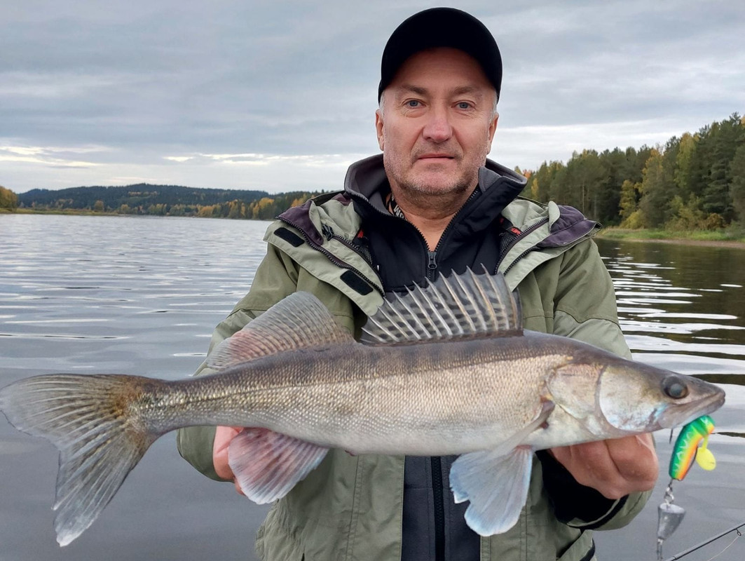 14 джиг головка купи лучший спиннинг катушка Куляпин ловля рыбалка судак щука обучение