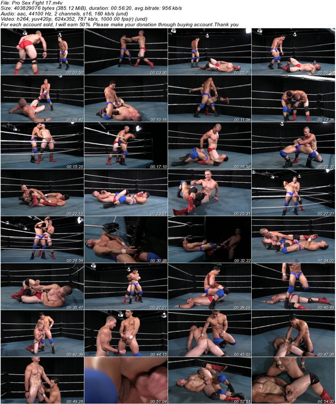 Pro Sex Fight 17