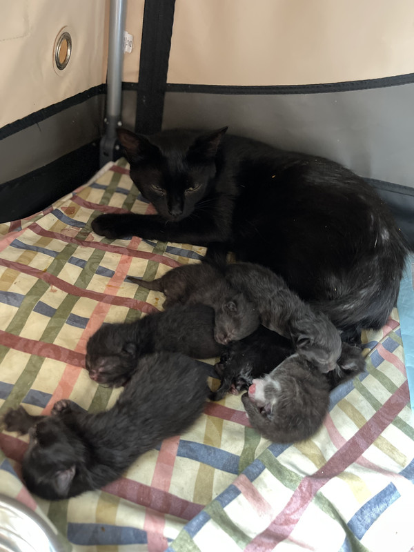 B19EA1B3-FCE1-4EAA-A609-BD307E82B38E