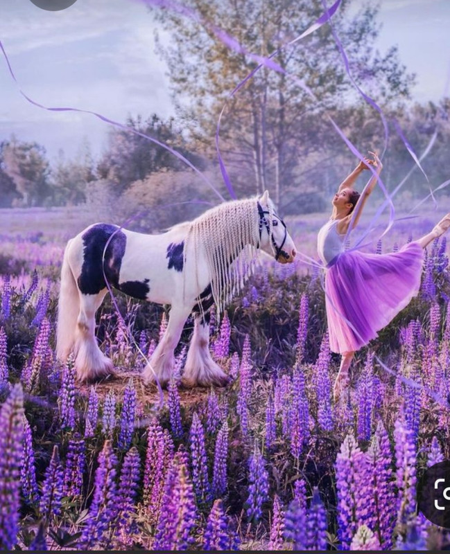 Screenshot_20230323_001237_Pinterest