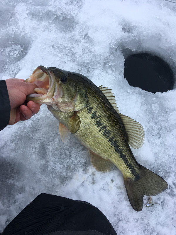 B915CBD1-3B6F-4D07-B5AF-945F2FBF2203