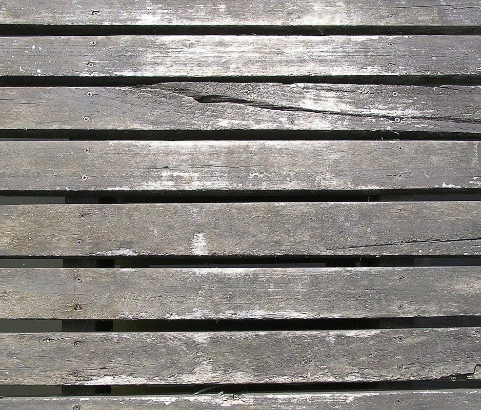 wood-texture-3dsmax (192)