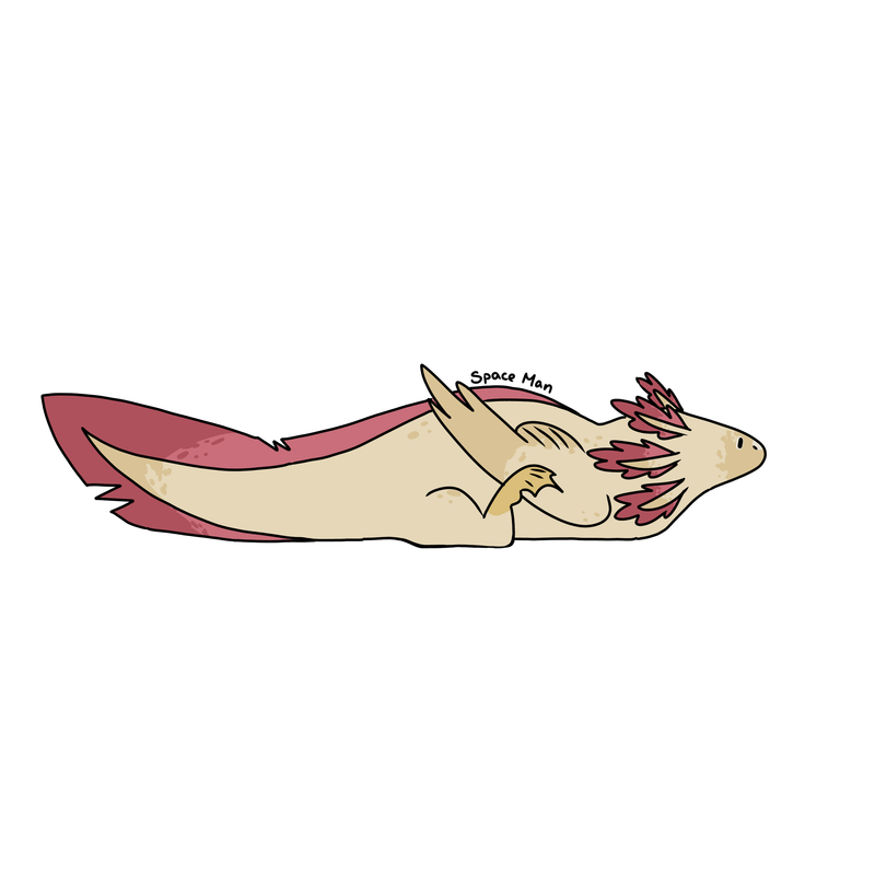 17-C75-C0-C-4-E78-48-AA-8457-3-EEC35536-ABB.png