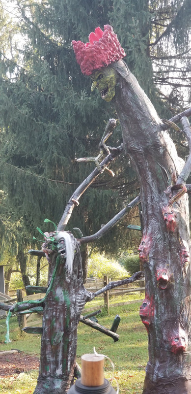 1FBCEC6A-91D9-4711-AADE-C384EA48D926