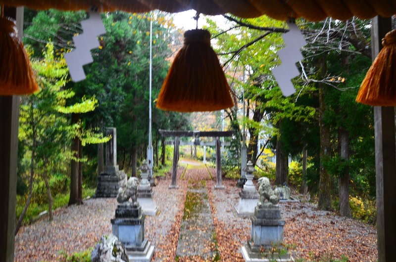 Presa Oguchi Daiichi y Templo Fukase-15-11-2024 - Japón y sus Pueblos-2024 (14)