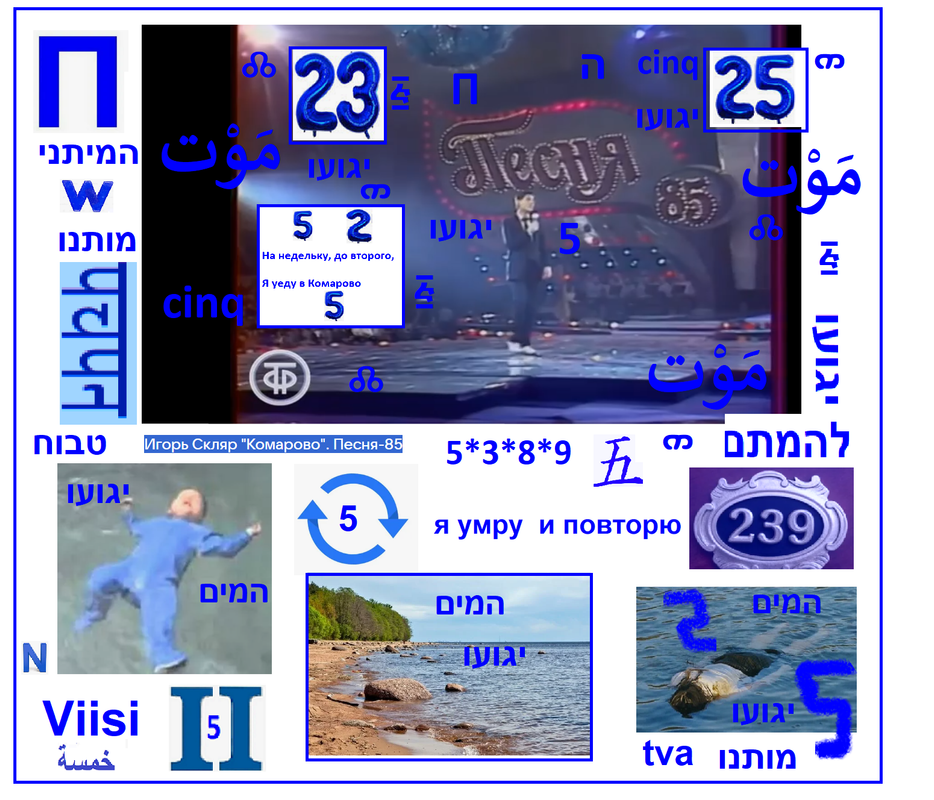 https://i.postimg.cc/SRSvfVMq/1961.png