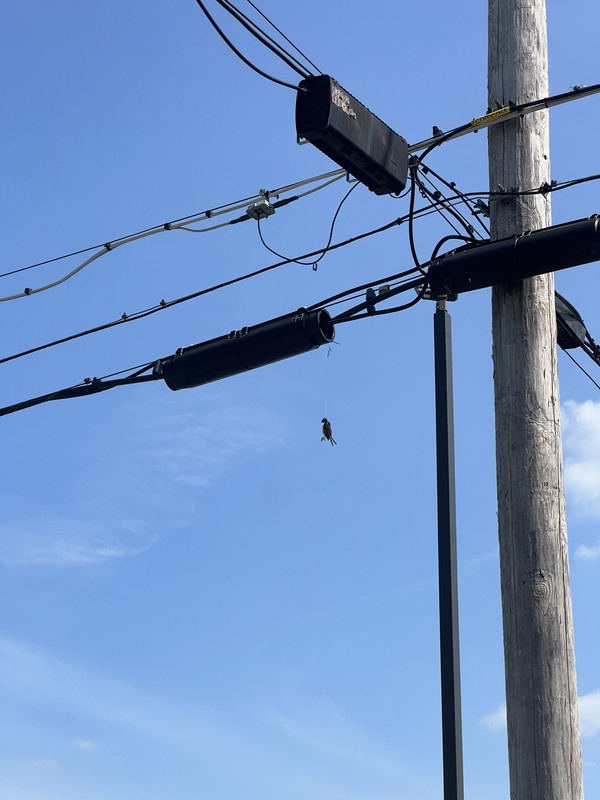 C1DD7DB0-BB25-4CCB-A6D2-8FE463ADB02F