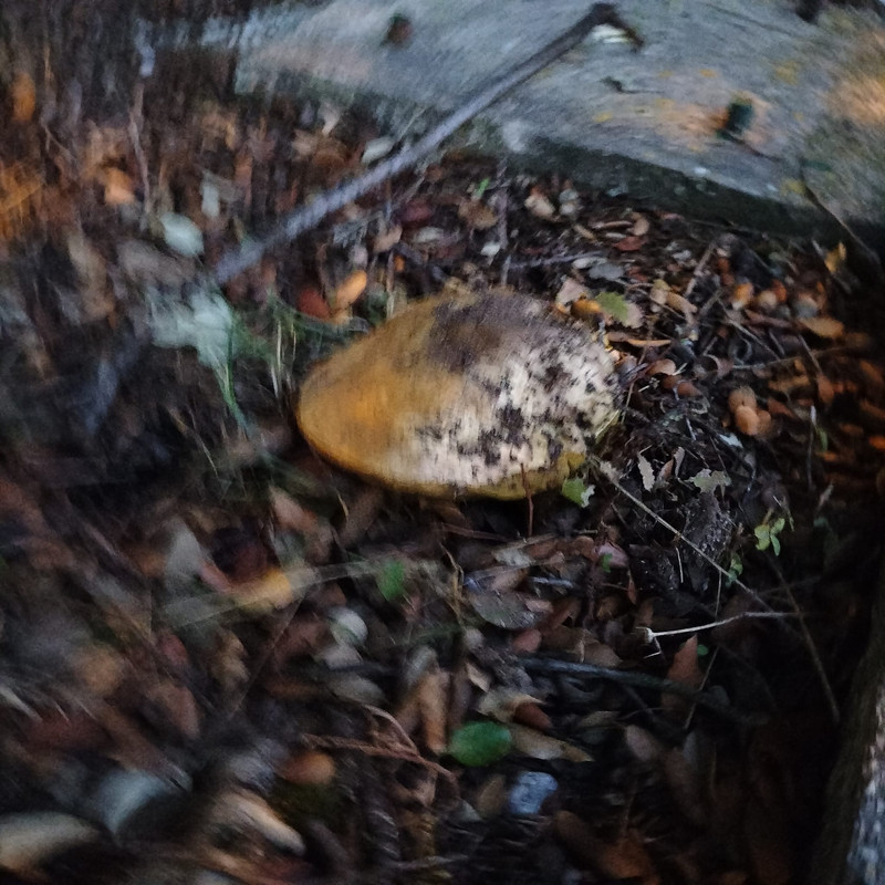 WhatsApp Image 2022-11-27 at 11.59.05(1)