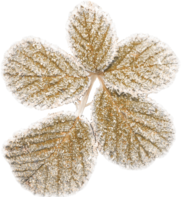 beautiful_reindeer_5