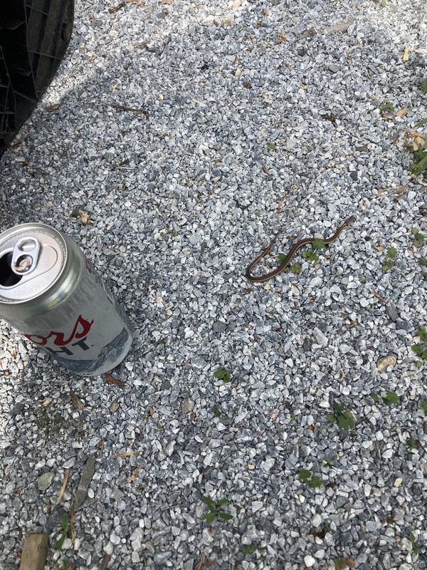 E4525249-46AD-4243-9CDE-D368B596B4A5