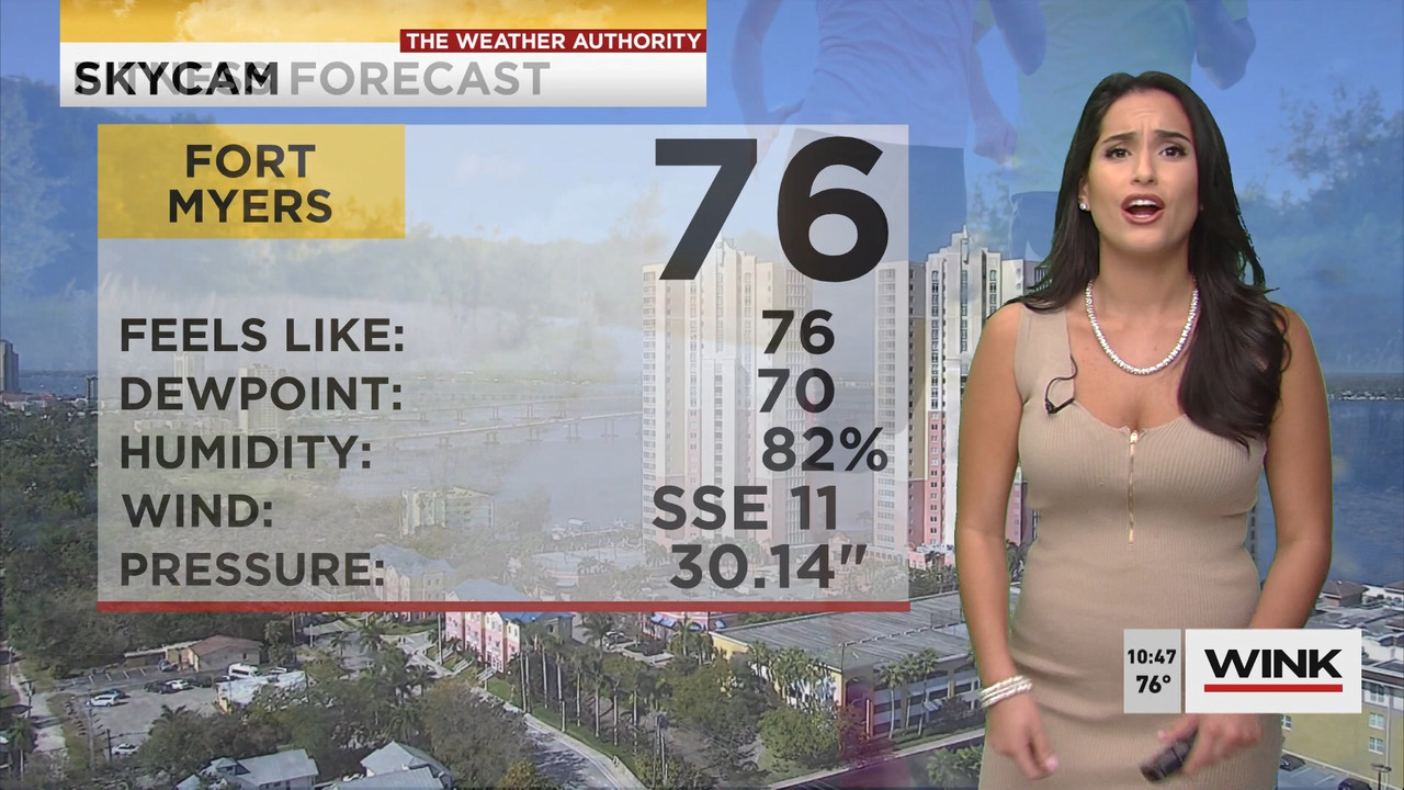 02.09 - 15.00.00 - WINK News at 10 00 a.m..ts_snapshot_00.49.03.659