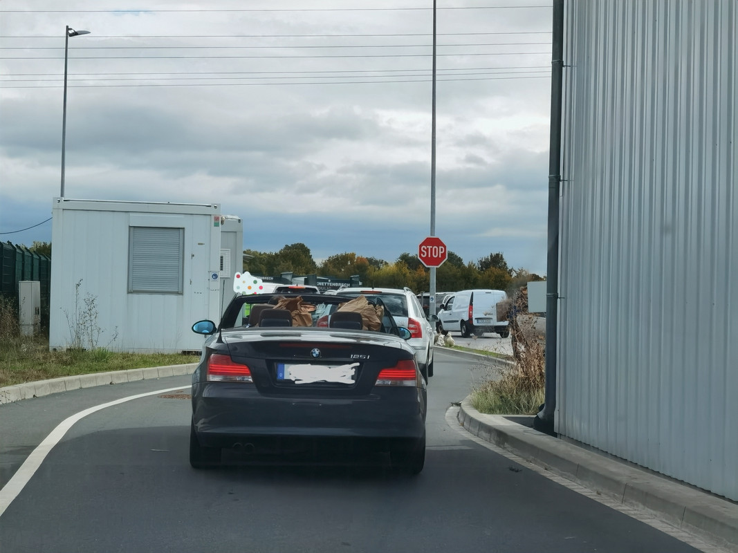 IMG_20221008_184319_edit_338398802974403