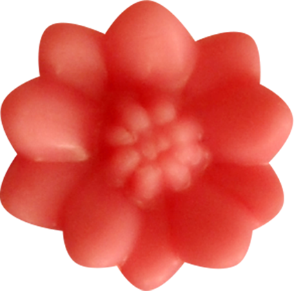 KBK_PrettyRabbit (32)