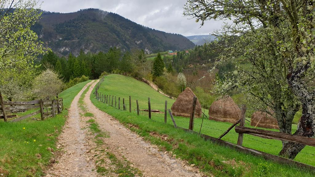 Slika