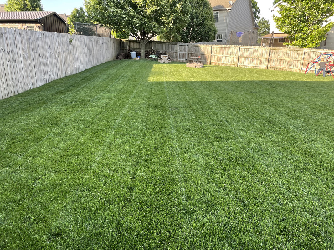 40D8EF02-4EC7-438E-AC6F-4CEEEA6CC3C4