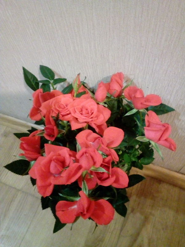 IMG_20180114_231320_1CS