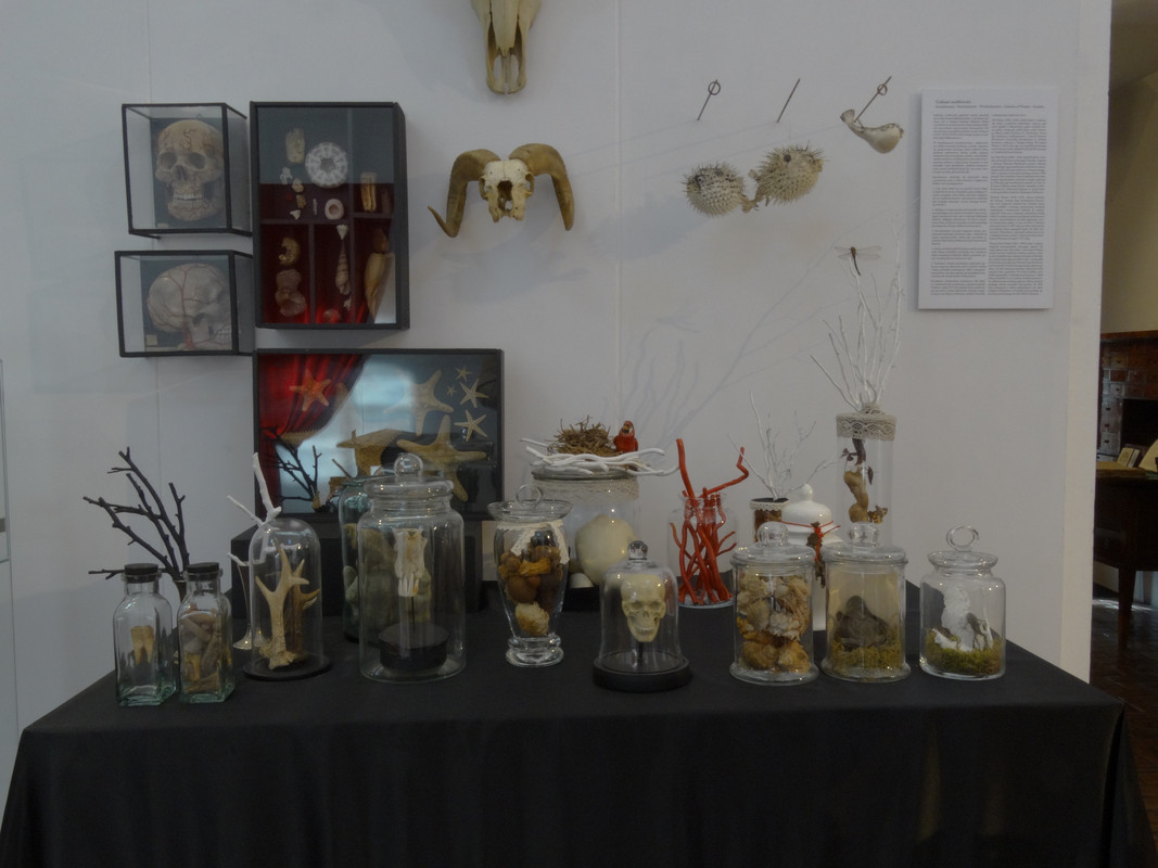 16.08 - DSC07518 (Czesio1)