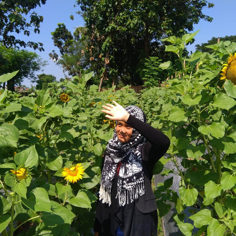 Taman Bunga Bloemencorso