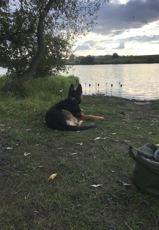 27CF0AD3-5DB8-411A-854D-3CC8C17A7934