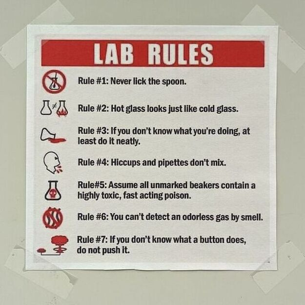Lab-Rules-BP3-oq6psmze0cz91-700.jpg