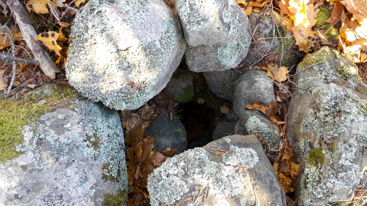 20151105_142229