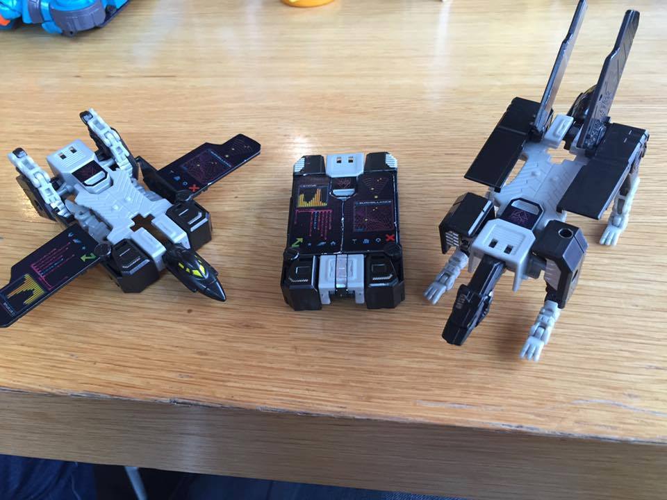 1934474_979828935436849_460700402941431490_n