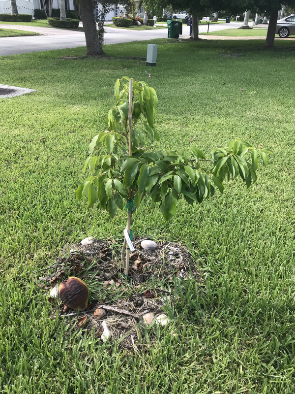 DF0DE4B4-5080-4D97-A3FA-E0168B272163