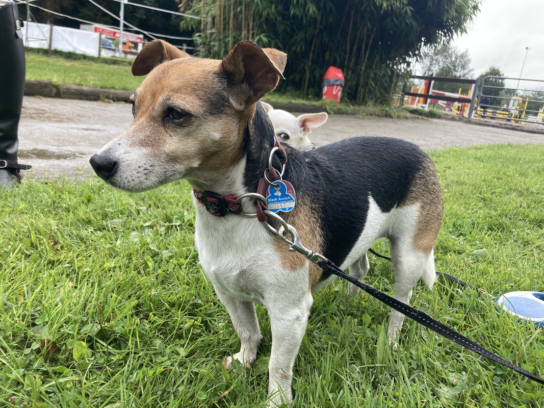 7B5C2766-259B-45CC-AF3C-FC0AEDEC57C1