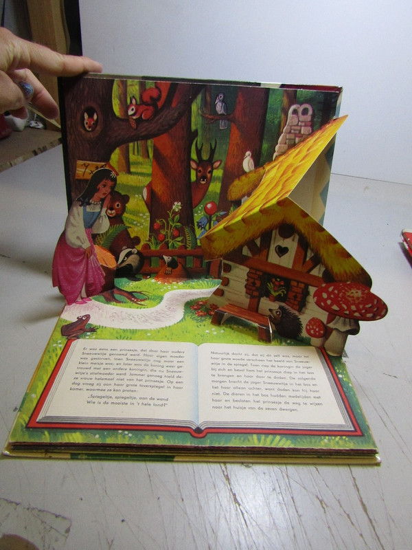 IMG 3823 — Postimages