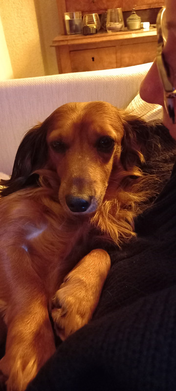 [Image: 20250115-174248.jpg]