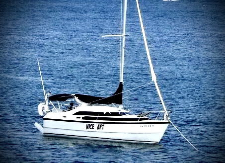 843D54FF-3716-4290-8525-B0E6459FC993