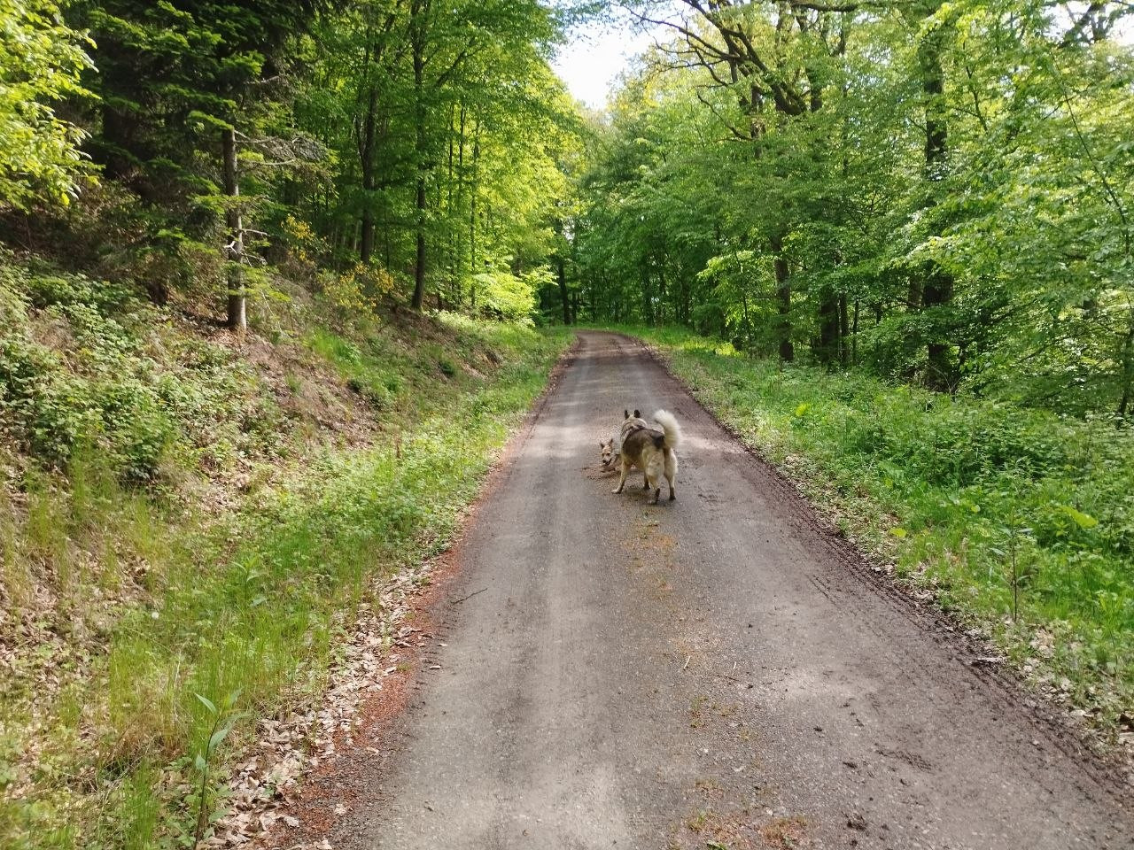 photo 2026 05 15 18 19 54
