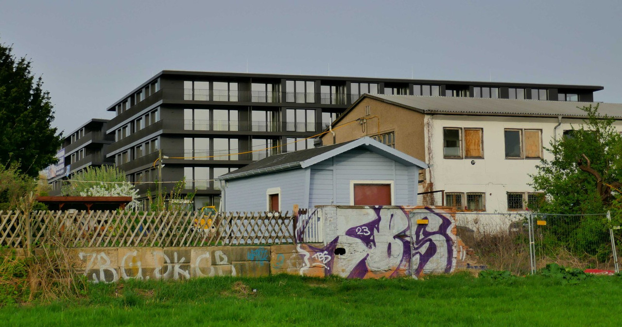 P1190445.jpg