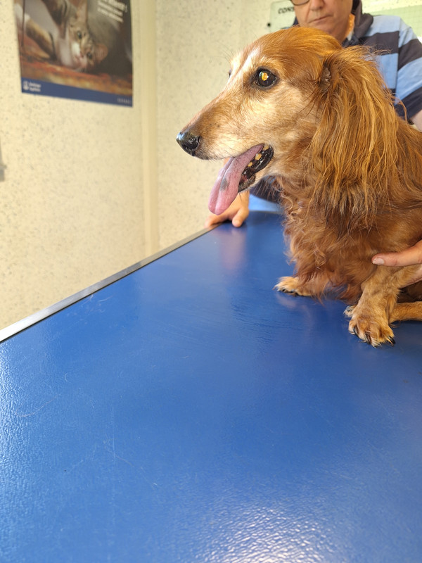 [Image: 20240522-143546.jpg]