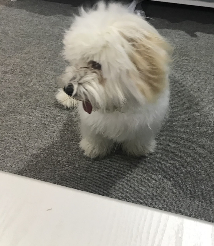 C22A4336-5753-4CC4-BE0B-3D749B8669B3