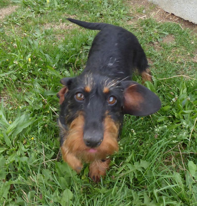 [Image: P1030697.jpg]