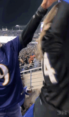 Ravens-PAWGLOL.gif