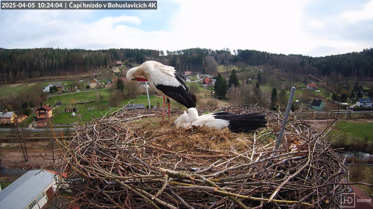 Živě z čapího komína firmy KARA v Bohuslavicích u Trutnova 14-47-58 screenshot