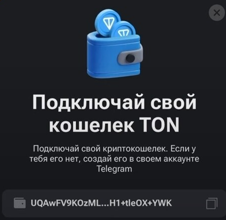 article content image