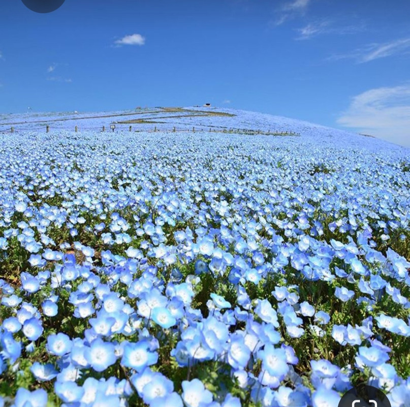 Screenshot_20230802_002951_Pinterest