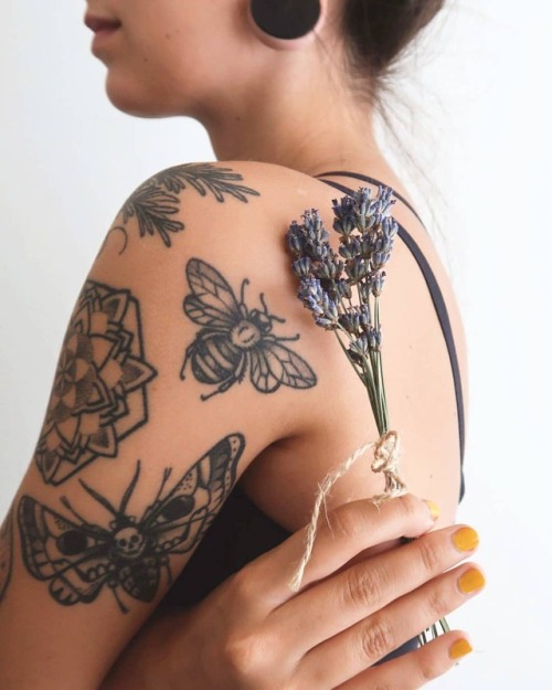 tumblr_pbwl3ovhJX1qg0mcio1_500